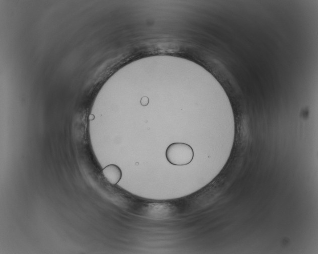 X0000115670218200912241426