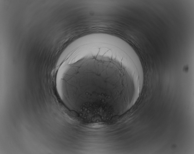 X0000115670219200912241426