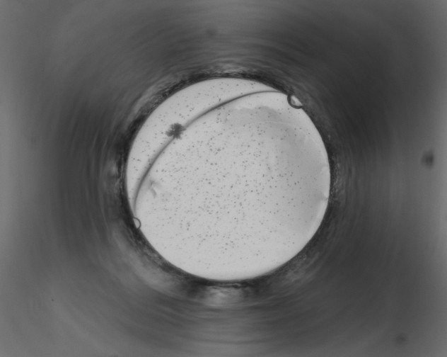 X0000115670220200912241426