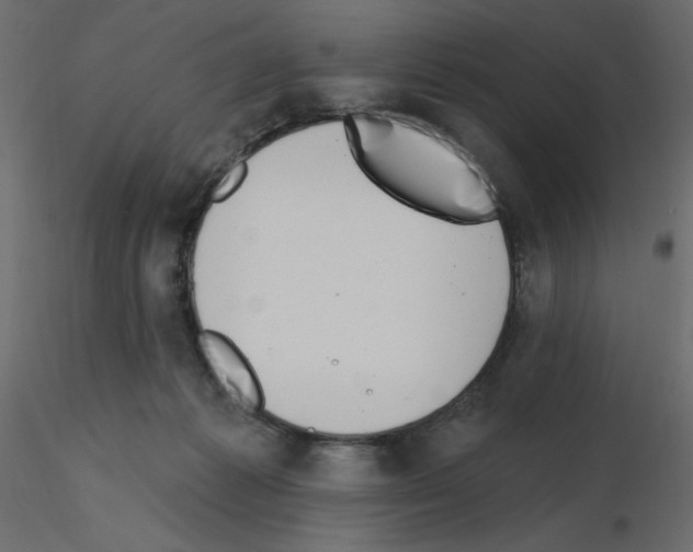 X0000115670221200912241426