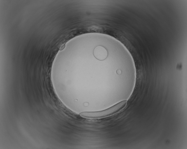 X0000115670223200912241426