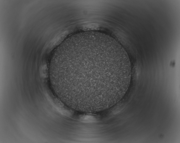 X0000115670224200912241426