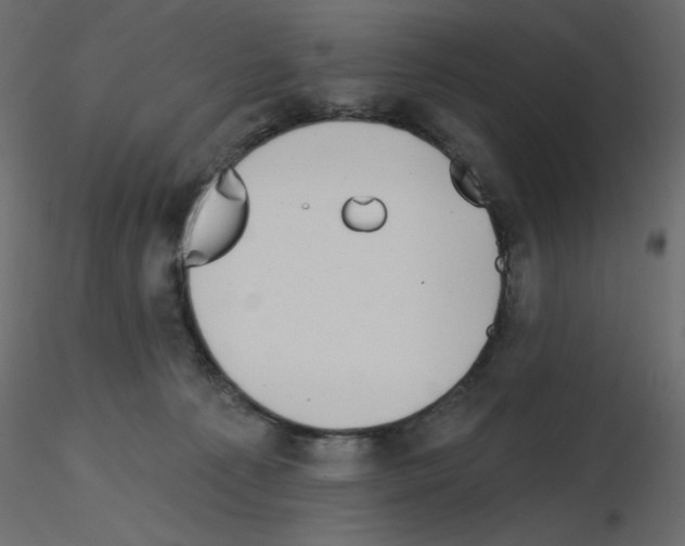 X0000115670225200912241426