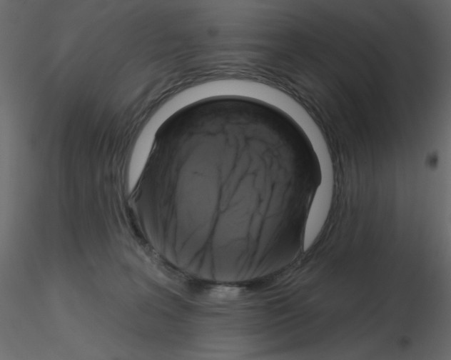 X0000115670227200912241426