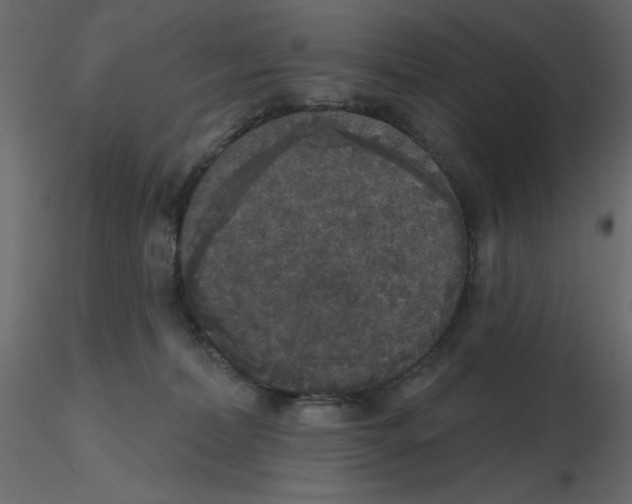 X0000115670228200912241426