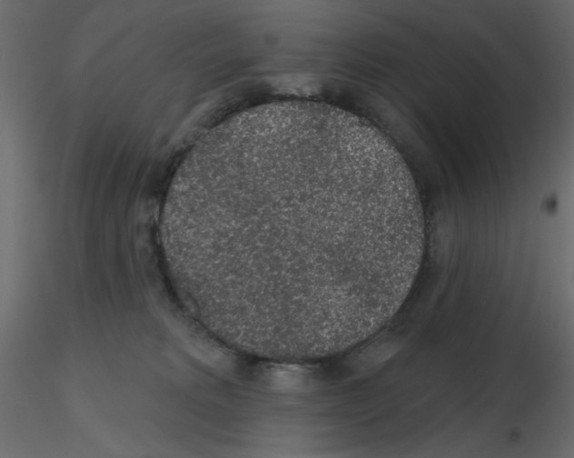 X0000115670229200912241426