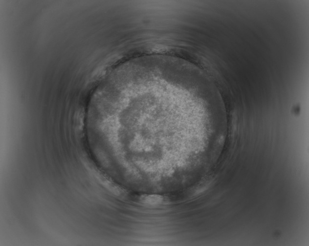 X0000115670230200912241426