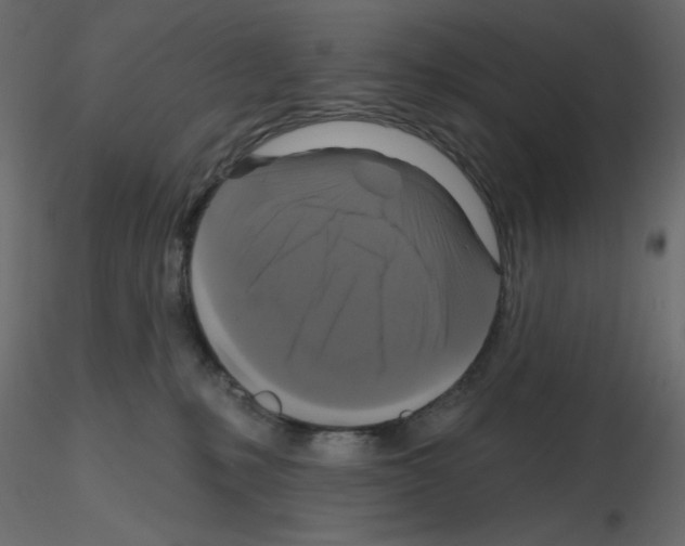 X0000115670231200912241426