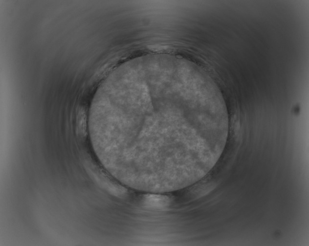 X0000115670234200912241426