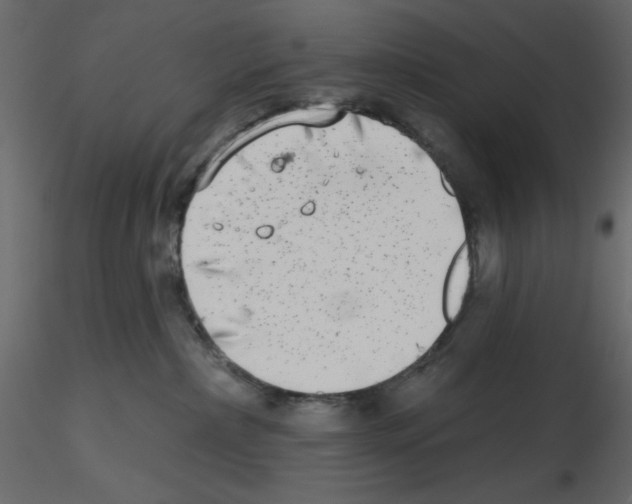 X0000115670236200912241426