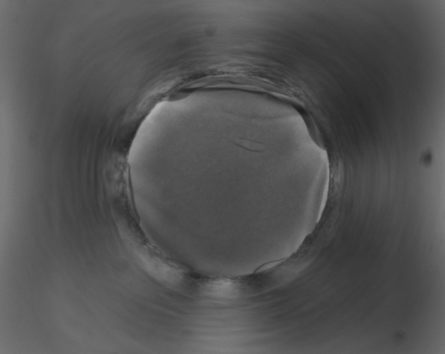 X0000115670237200912241426