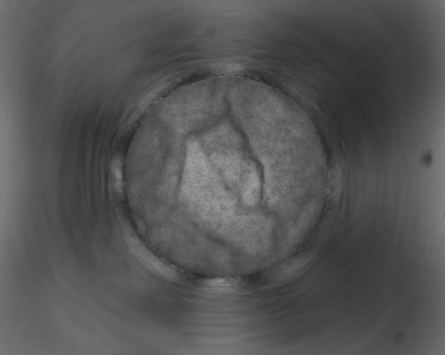 X0000115670238200912241426