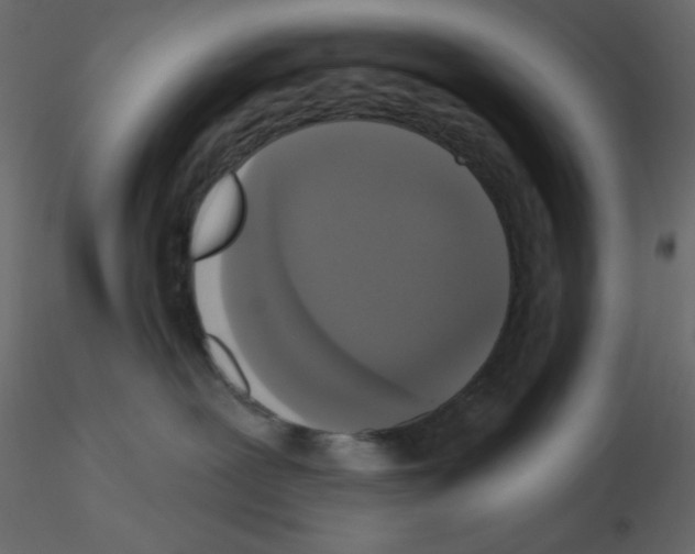 X0000115670239200912241426