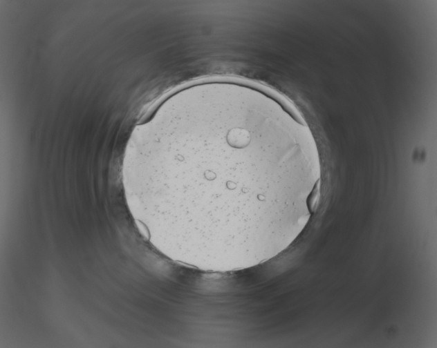 X0000115670240200912241426