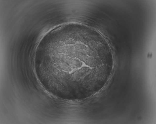 X0000115670241200912241425