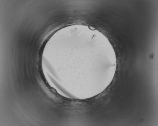 X0000115670242200912241425