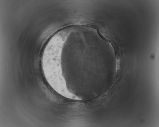 X0000115670243200912241425