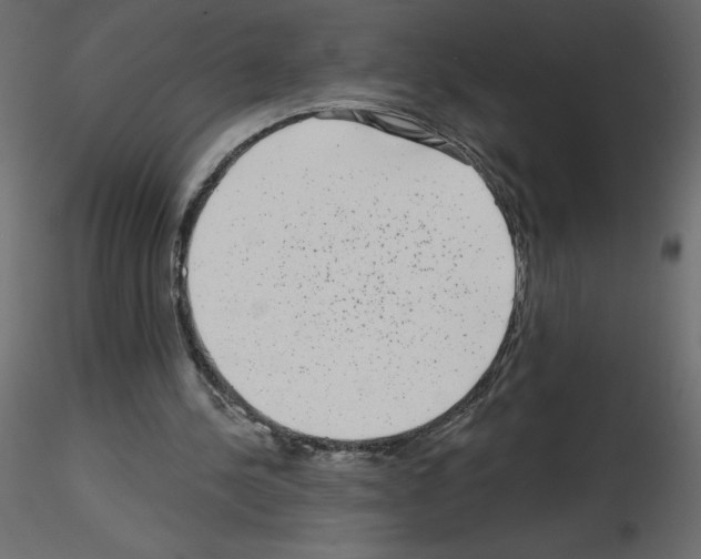 X0000115670244200912241425