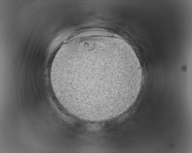 X0000115670245200912241425