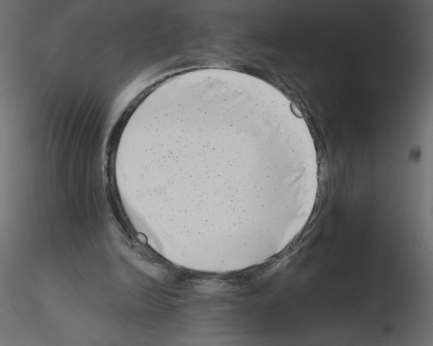 X0000115670246200912241425