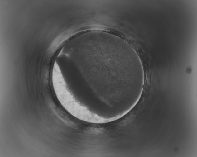 X0000115670247200912241425