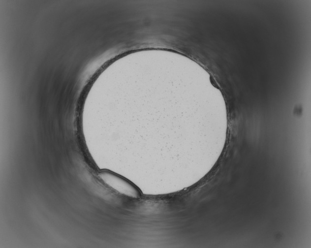 X0000115670248200912241425