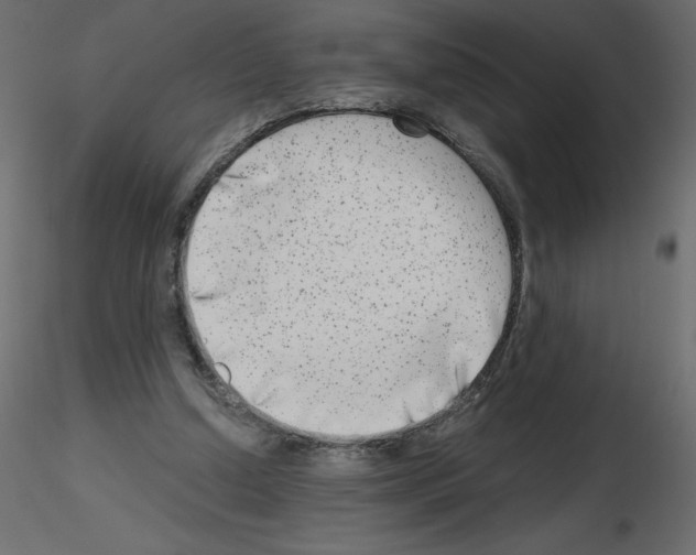 X0000115670250200912241425