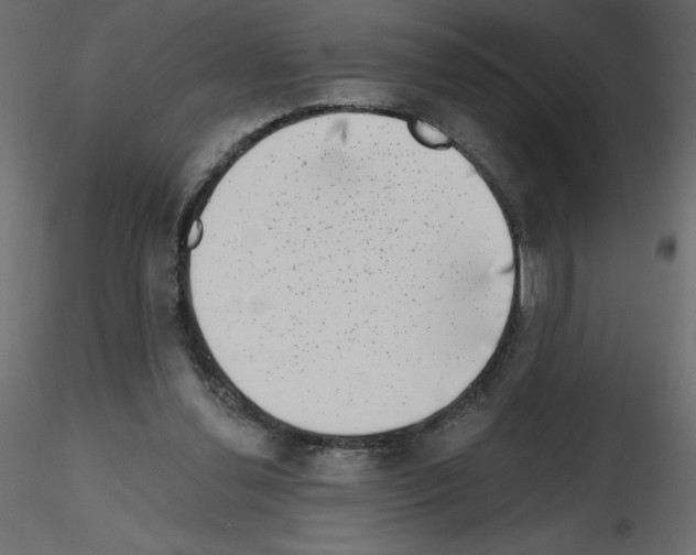 X0000115670252200912241426