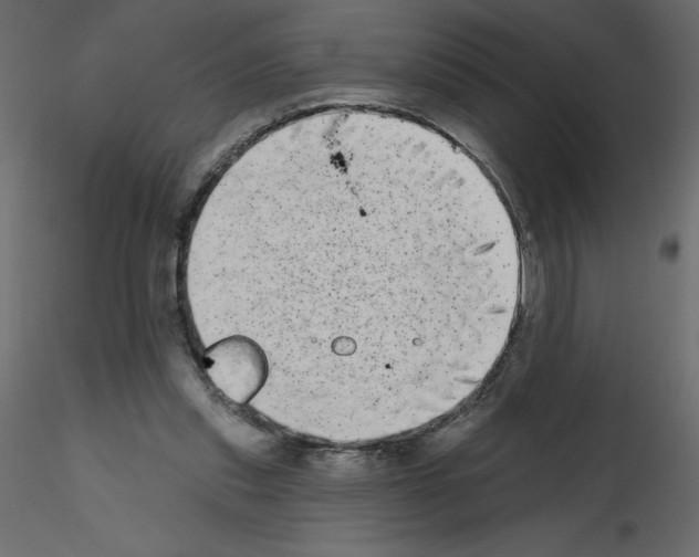 X0000115670253200912241426