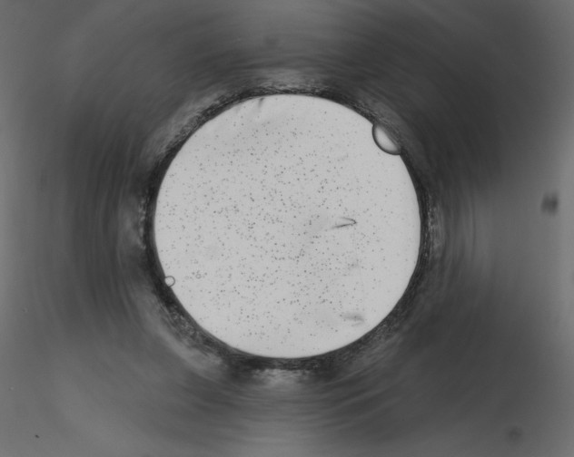 X0000115670255200912241426