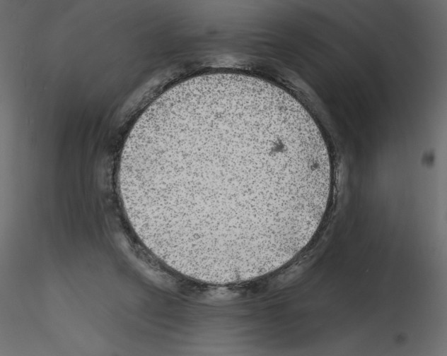 X0000115670257200912241426