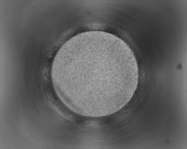 X0000115670259200912241426