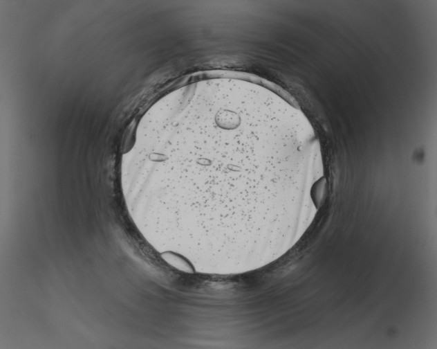 X0000115670260200912241426