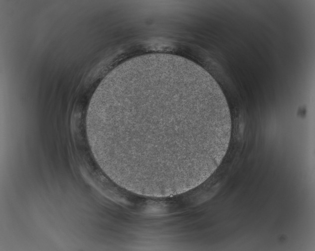 X0000115670263200912241426