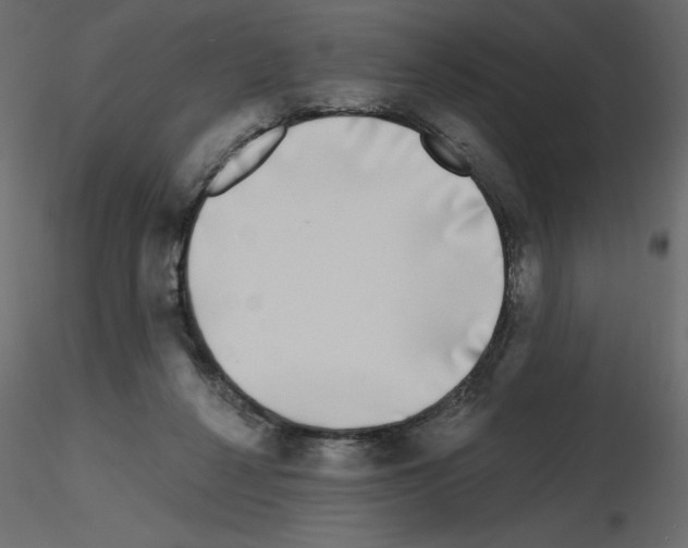 X0000115670264200912241426