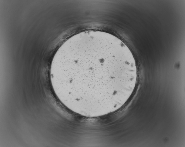 X0000115670265200912241426