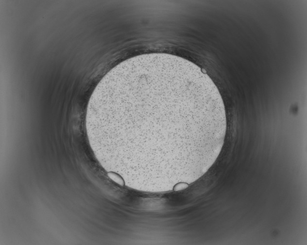 X0000115670266200912241426