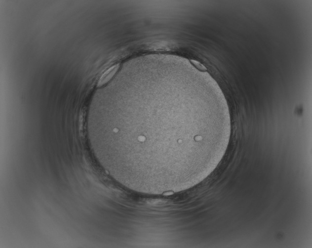 X0000115670268200912241426