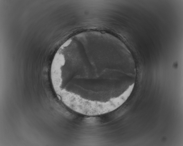 X0000115670269200912241426