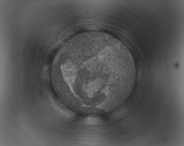 X0000115670270200912241426