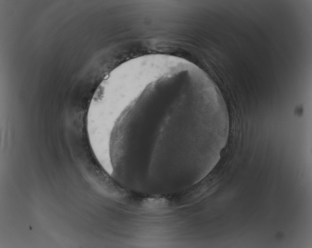 X0000115670271200912241426