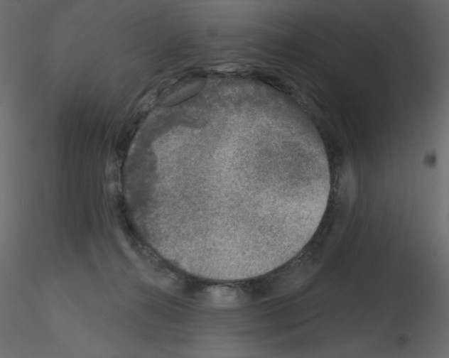 X0000115670272200912241426