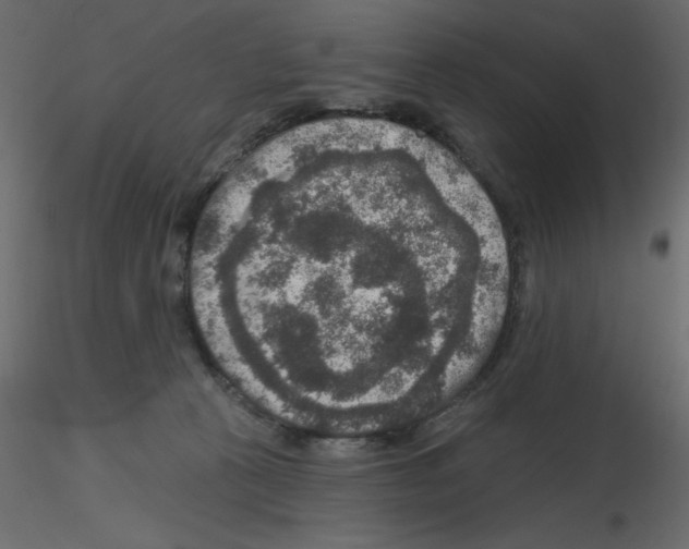 X0000115670273200912241426