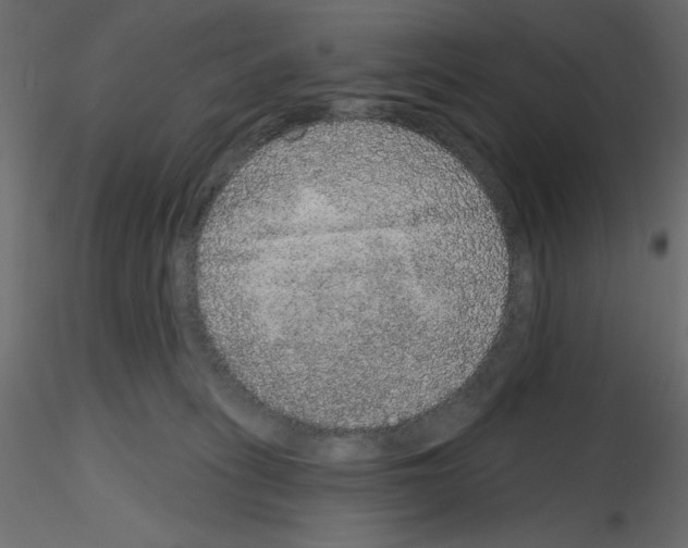 X0000115670275200912241426