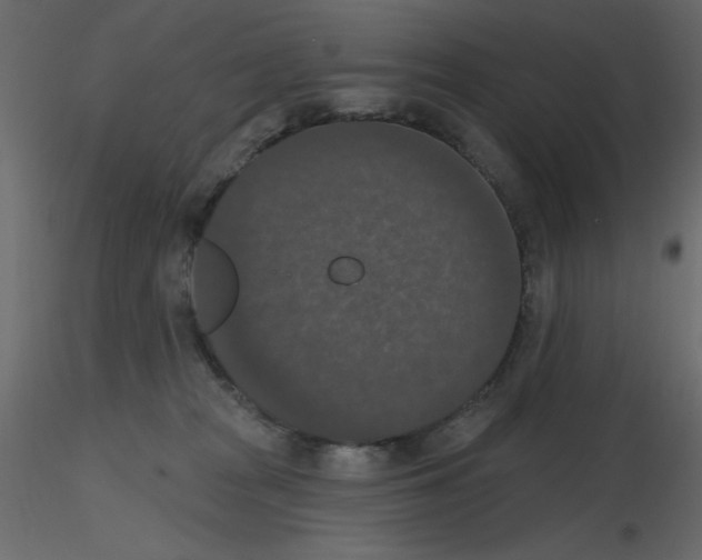 X0000115670277200912241426