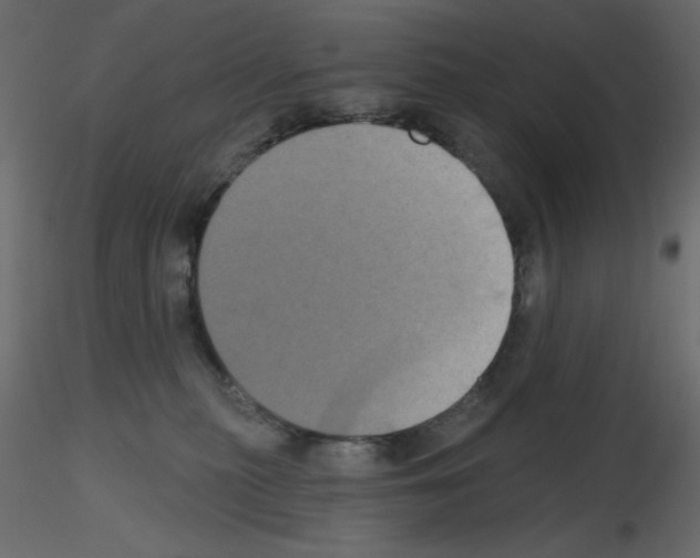 X0000115670279200912241426