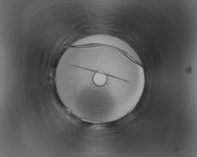 X0000115670280200912241426