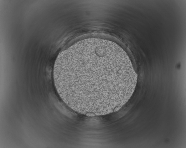 X0000115670282200912241426