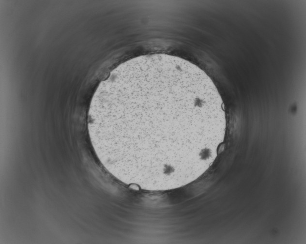 X0000115670283200912241426