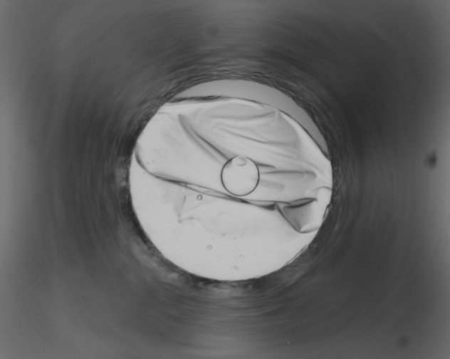 X0000115670284200912241426